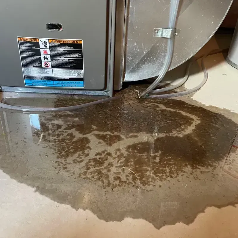 Appliance Leak Cleanup in Rice County, MN